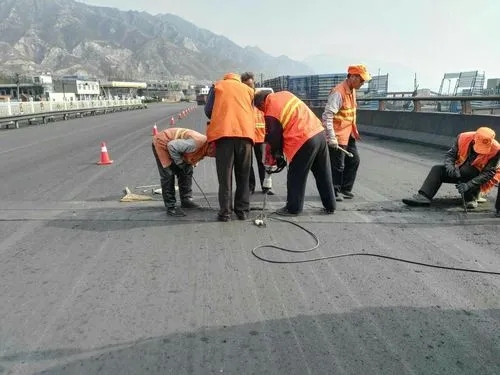 迭部道路桥梁病害治理